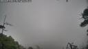 ./images/calvert/fitz-hugh-hecate/20260307/fitz-hugh-hecate20260307_174502M.jpg