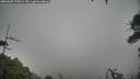 ./images/calvert/fitz-hugh-hecate/20260307/fitz-hugh-hecate20260307_175001M.jpg
