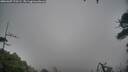 ./images/calvert/fitz-hugh-hecate/20260307/fitz-hugh-hecate20260307_175501M.jpg
