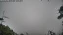 ./images/calvert/fitz-hugh-hecate/20260307/fitz-hugh-hecate20260307_180001M.jpg