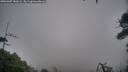 ./images/calvert/fitz-hugh-hecate/20260307/fitz-hugh-hecate20260307_181001M.jpg