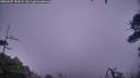 ./images/calvert/fitz-hugh-hecate/20260307/fitz-hugh-hecate20260307_182001M.jpg