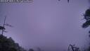 ./images/calvert/fitz-hugh-hecate/20260307/fitz-hugh-hecate20260307_183001M.jpg