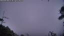./images/calvert/fitz-hugh-hecate/20260307/fitz-hugh-hecate20260307_183501M.jpg