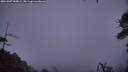 ./images/calvert/fitz-hugh-hecate/20260307/fitz-hugh-hecate20260307_184001M.jpg