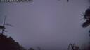 ./images/calvert/fitz-hugh-hecate/20260307/fitz-hugh-hecate20260307_184501M.jpg