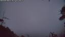 ./images/calvert/fitz-hugh-hecate/20260307/fitz-hugh-hecate20260307_185002M.jpg