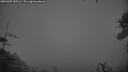 ./images/calvert/fitz-hugh-hecate/20260307/fitz-hugh-hecate20260307_185501M.jpg