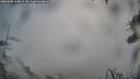 ./images/calvert/fitz-hugh-hecate/20260308/fitz-hugh-hecate20260308_100002M.jpg