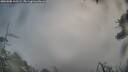 ./images/calvert/fitz-hugh-hecate/20260308/fitz-hugh-hecate20260308_100502M.jpg