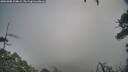 ./images/calvert/fitz-hugh-hecate/20260308/fitz-hugh-hecate20260308_104002M.jpg