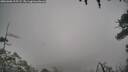 ./images/calvert/fitz-hugh-hecate/20260308/fitz-hugh-hecate20260308_115501M.jpg