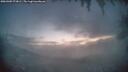 ./images/calvert/fitz-hugh-hecate/20260309/fitz-hugh-hecate20260309_073001M.jpg