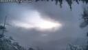 ./images/calvert/fitz-hugh-hecate/20260309/fitz-hugh-hecate20260309_074501M.jpg