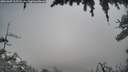 ./images/calvert/fitz-hugh-hecate/20260309/fitz-hugh-hecate20260309_115501M.jpg