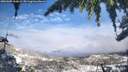 ./images/calvert/fitz-hugh-hecate/20260309/fitz-hugh-hecate20260309_153002M.jpg