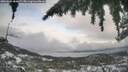 ./images/calvert/fitz-hugh-hecate/20260309/fitz-hugh-hecate20260309_180001M.jpg