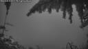 ./images/calvert/fitz-hugh-hecate/20260309/fitz-hugh-hecate20260309_195001M.jpg