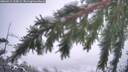 ./images/calvert/fitz-hugh-hecate/20260311/fitz-hugh-hecate20260311_125001M.jpg