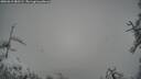 ./images/calvert/fitz-hugh-hecate/20260312/fitz-hugh-hecate20260312_082501M.jpg