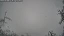 ./images/calvert/fitz-hugh-hecate/20260312/fitz-hugh-hecate20260312_083001M.jpg