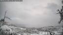 ./images/calvert/fitz-hugh-hecate/20260312/fitz-hugh-hecate20260312_115001M.jpg