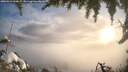 ./images/calvert/fitz-hugh-hecate/20260314/fitz-hugh-hecate20260314_090001M.jpg