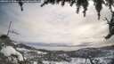./images/calvert/fitz-hugh-hecate/20260314/fitz-hugh-hecate20260314_104001M.jpg