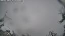 ./images/calvert/fitz-hugh-hecate/20260315/fitz-hugh-hecate20260315_134002M.jpg