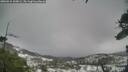 ./images/calvert/fitz-hugh-hecate/20260316/fitz-hugh-hecate20260316_100002M.jpg