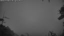 ./images/calvert/fitz-hugh-hecate/20260317/fitz-hugh-hecate20260317_072002M.jpg