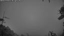 ./images/calvert/fitz-hugh-hecate/20260317/fitz-hugh-hecate20260317_072501M.jpg