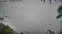 ./images/calvert/fitz-hugh-hecate/20260317/fitz-hugh-hecate20260317_100001M.jpg