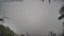 ./images/calvert/fitz-hugh-hecate/20260317/fitz-hugh-hecate20260317_101001M.jpg