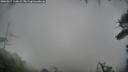 ./images/calvert/fitz-hugh-hecate/20260317/fitz-hugh-hecate20260317_110001M.jpg
