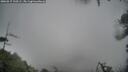 ./images/calvert/fitz-hugh-hecate/20260317/fitz-hugh-hecate20260317_110501M.jpg