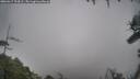 ./images/calvert/fitz-hugh-hecate/20260317/fitz-hugh-hecate20260317_124502M.jpg