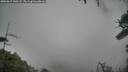 ./images/calvert/fitz-hugh-hecate/20260317/fitz-hugh-hecate20260317_145501M.jpg
