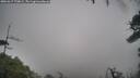 ./images/calvert/fitz-hugh-hecate/20260317/fitz-hugh-hecate20260317_170001M.jpg