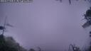 ./images/calvert/fitz-hugh-hecate/20260317/fitz-hugh-hecate20260317_194501M.jpg
