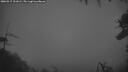 ./images/calvert/fitz-hugh-hecate/20260317/fitz-hugh-hecate20260317_201001M.jpg