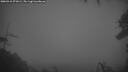 ./images/calvert/fitz-hugh-hecate/20260318/fitz-hugh-hecate20260318_071001M.jpg