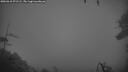 ./images/calvert/fitz-hugh-hecate/20260318/fitz-hugh-hecate20260318_071501M.jpg