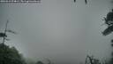 ./images/calvert/fitz-hugh-hecate/20260318/fitz-hugh-hecate20260318_074001M.jpg