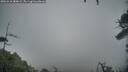 ./images/calvert/fitz-hugh-hecate/20260318/fitz-hugh-hecate20260318_080002M.jpg