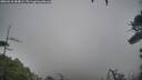 ./images/calvert/fitz-hugh-hecate/20260318/fitz-hugh-hecate20260318_084001M.jpg