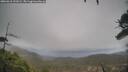 ./images/calvert/fitz-hugh-hecate/20260318/fitz-hugh-hecate20260318_131002M.jpg