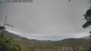 ./images/calvert/fitz-hugh-hecate/20260318/fitz-hugh-hecate20260318_140002M.jpg