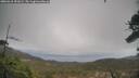./images/calvert/fitz-hugh-hecate/20260318/fitz-hugh-hecate20260318_151002M.jpg