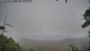 ./images/calvert/fitz-hugh-hecate/20260318/fitz-hugh-hecate20260318_152001M.jpg